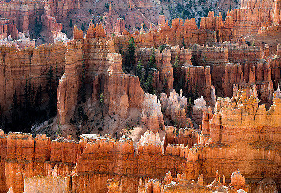 Bryce Canyon