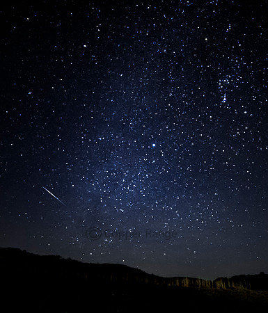 Wish Upon a Meteor