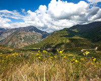 Kings Canyon National Park