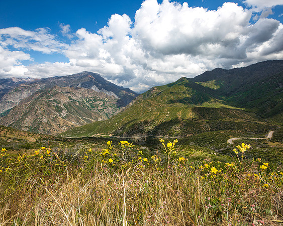 Kings Canyon National Park