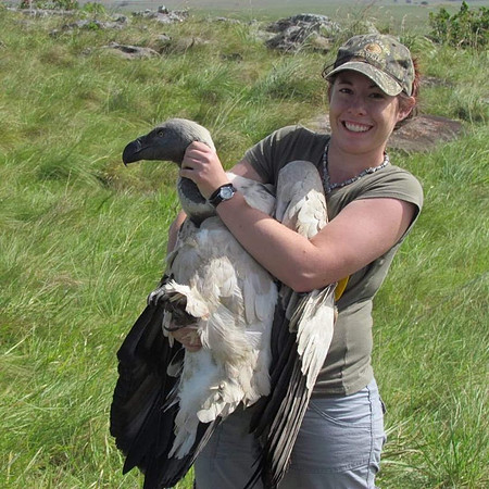 Dr. Morgan Drabik-Hamshare