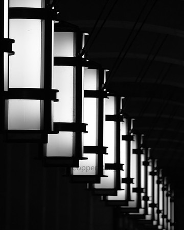 Lighting the Way