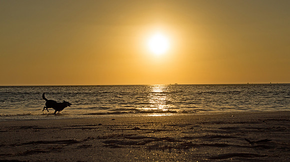 Happy Life - Playa Flamingo Costa Rica