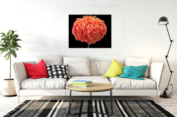 Buy Prints in Landscape and Nature Gallery
