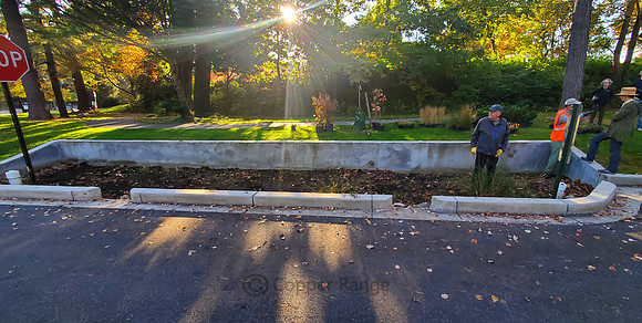Bioretention Bed/Rain Garden, NW Washington DC