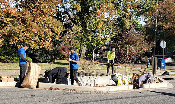Maintenance of Bioretention Beds