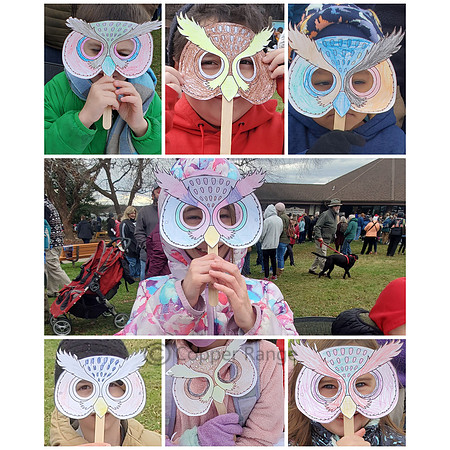 Volunteering with Owl Moon Raptor Center