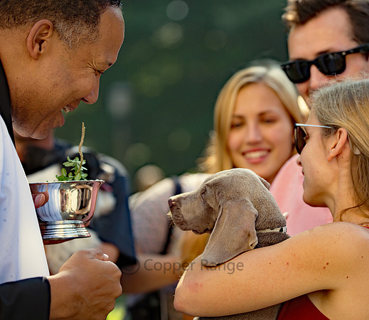 Blessing of the Animals - Washington National Cathedral
