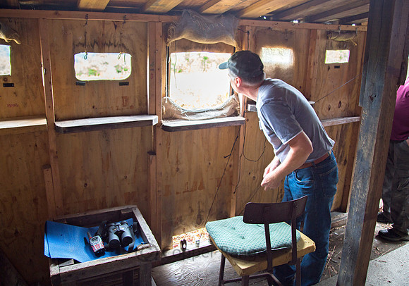 Behind the Bird Blind