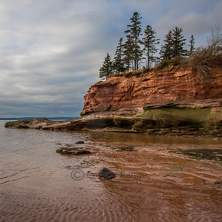 The Tide Has Shifted - Nova Scotia