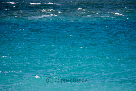 Oceans