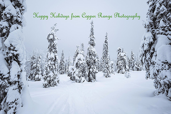Happy Holidays