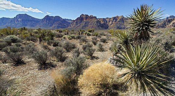 Red Rock Canyon National Conservation Area